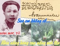 HOP AM HAN MAC TU
