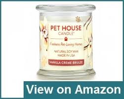So happy to have found this! The 10 Best Pet Odor Eliminators Of 2021 Dog Guide Reviews