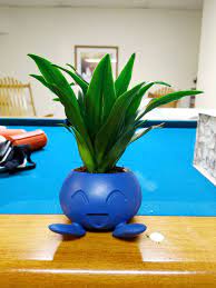 Oddish plant