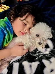 Our dachshund is missing! He got away and never came back. We have looked  and looked but have had no luck! We are so sad especially a certain child  of ours. He