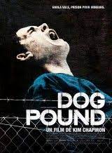 Pin On Novedades Dvd