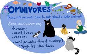 Many will eat eggs from other animals. Omnivores Kid S Corner Sheppard Software