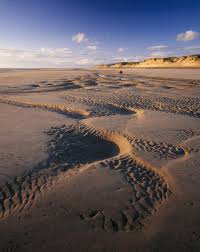 We have reviews of the best places to see in formby. Formby Beach On Aboutbritain Com