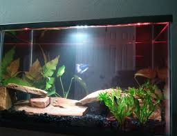 6 gallon fresh water tank. 6 Gallons Fish Tanks And Aquariums Ratemyfishtank Com