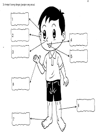 Check spelling or type a new query. Latihan Anggota Badan Latihan Kartu Flash Kegiatan Sekolah