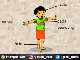 Check spelling or type a new query. Mengenal Bagian Bagian Anggota Tubuh Manusia Dalam Bahasa Sunda Beserta Contoh Kalimat Dan Artinya