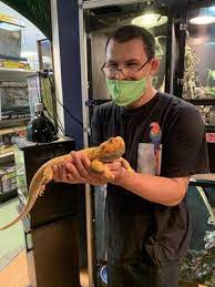 (4) a family pet center, known as afpc it is hard to believe that the idea of creating afpc has been ruminating in my head for over 40 years. Family Pet Center 37 Photos 18 Reviews Pet Stores 6230 N Lockwood Ridge Rd Sarasota Fl United States Phone Number