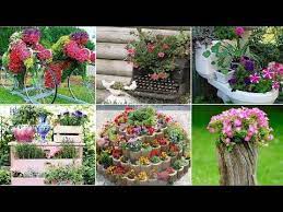Error 503 Server Error 1 Unusual Flowers Herb Garden Pallet Flower Beds