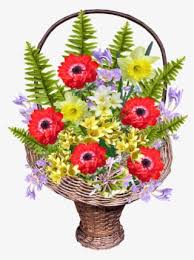 Check spelling or type a new query. Spring Flower Basket Bouquet Transparent Png 477x720 Free Download On Nicepng