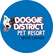 4 paws pet resort activity center. 4 Paws Pet Resort Home Facebook