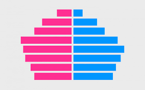 Population Pyramid Chart In Excel Radu Popa