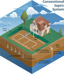 Restoring flow to the septic tank's leach field will equalize the stress. Your Septic System Water Programs University Of Florida Institute Of Food And Agricultural Sciences Uf Ifas