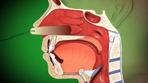 Image result for Nasal Packing
