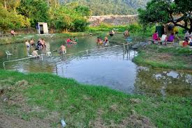 1205 lorong bukit raya 11 jalan hulu langat batu 10 kg bukit raya, hulu langat, malezya, 43100. Ripum Portal Sungai Serai Hot Spring Di Hulu Langat Facebook
