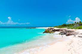 images?q=tbn:ANd9GcTRipQPHVENPwCGSr2BwIluQ6ATgOM80x3iXjoIL60jFrFr8yhUangwuIwh88ExuLO9ECs&usqp=CAU