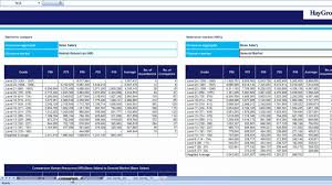 Hay Group Pay Net Video Instruction