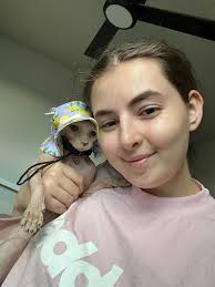 Cats wearing ALDI hats, adorable and funny moments