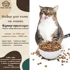 korm dlya kotov super premium in 2020 condiments food wet