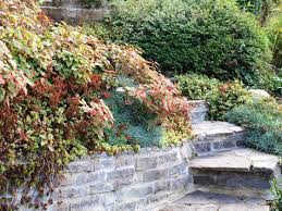 Weitere ideen zu garten, garten am hang, gartengestaltung. Der Hanggarten Boschungen Bepflanzen Befestigen Boschung Bepflanzen Garten Am Hang Garten