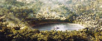 This is a hunger games arena with an emerald cornucopia and a little bit of every biome. Catching Fire Cornucopia The Hunger Games Photo 36855068 Fanpop