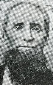 Everet Dirk DeVries (1843-1891)