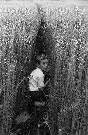 Pin By Rara Ka On Photos For Storytelling Discussion Writing Assignments Photo White Photography Black And White Photography