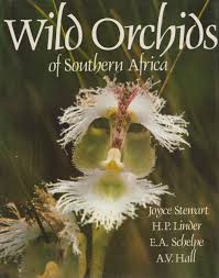 Image result for Neobolusia