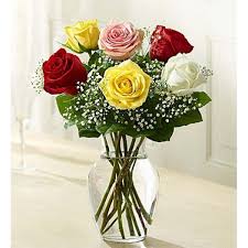 Maybe you would like to learn more about one of these? 78 Flowers Delivery To Sanantonio Florida Ideas Flower Delivery Flowers Online Same Day Flower Delivery