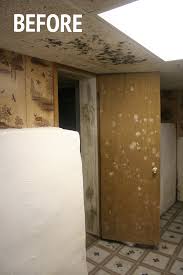 5 natural ways to remove basement mold. How To Remove Mold Mildew From Your Basement Part 1 Stevie Storck Design Co