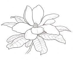 10 Transcendent Satin Stitch Flower Hand Embroidery Ideas In 2021 Drawings Flower Coloring Pages Flower Drawing