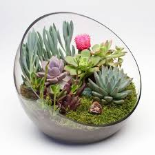Try it now by clicking succulent plant arrangements and let us have the chance to. Big Glass Bowl Arrangements With Succulents Marbella Flower Shop Deseos Florist Marbella Malaga Spain 29660