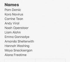 Feel Free To Add Names To Use When Logging Into Zoom Meetings Funny