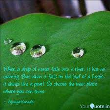 The sailors are dehydrated and might start dying of thirst if they don't find something to drink. When A Drop Of Water Fall Quotes Writings By Ajinkya Kanade Yourquote