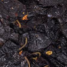 Chile Ancho