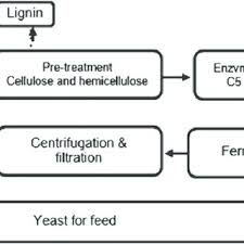 Effect Of Hydrogen Peroxide On The Growth Of Ethanologenic