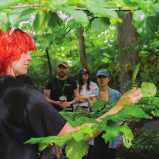 NYBG Continuing Education Course Offerings Catalog 2024