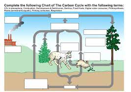 The Carbon Cycle Worksheet 2 Thursday May 23 2019 Carbon Cycle Cycle Carbon