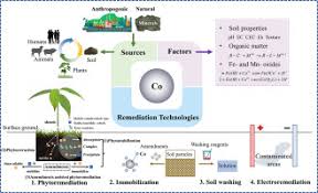 Image result for Crepidorhopalon spicatus