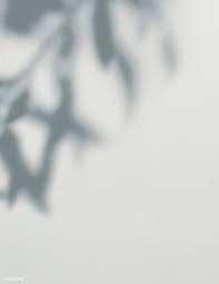 Shadow Of Leaves On A Wall Free Image By Rawpixel Com Ake Shadow Light And Shadow Photography Shadow Art