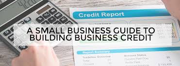 Image result for business credit report