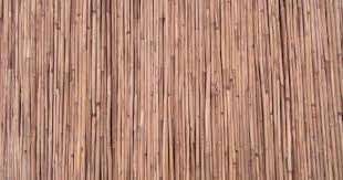 Schilfmatte Alle Grossen Sichtschutz Schilfrohrmatte Windschutz Strohmatte Schilf Ebay Schilfrohrmatte Windschutz Schilf