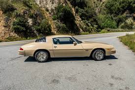 Image result for Beige 1979 GM
