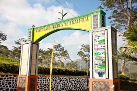 Check spelling or type a new query. Telaga Renjeng Gua Jepang Dan Kebun Teh Di Kaligua Untold Contemplation