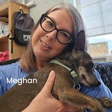 Main Line Animal Rescue (MLAR)