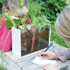 Jeu Educatif Pour Enfant Malette Etude Croissance Des Plantes Jardin Pour Enfants Jardinage Enfants Jeux Educatif Pour Enfant