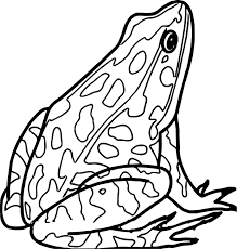 Cool Realistic Frog Amphibian Coloring Page Frog Coloring Pages Coloring Pages Coloring Pages For Kids