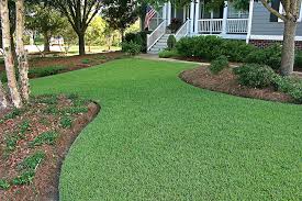 Bermudagrass, sometimes spelled bermuda grass, is the most commonly used warm season grass in the u.s. Mowing Empire Turf Zoysiagrass With A Rotary Mower Sod Solutions