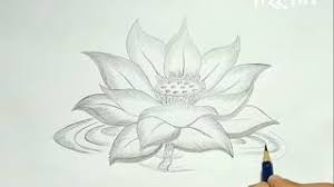 Mewarnai kolam bunga teratai : Cara Menggambar Bunga Teratai Mengggambar Dan Mewarnai Cute766