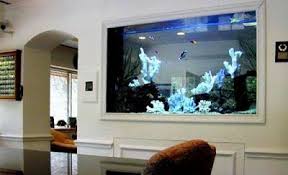 How To Make Wall Aquarium And Wall Fish Tank Diy Wall Mounted Aquarium Wall Aquarium Diy Wall Fish Tank Wall Mounted Aq Wall Aquarium Diy Fish Tank Diy Tank