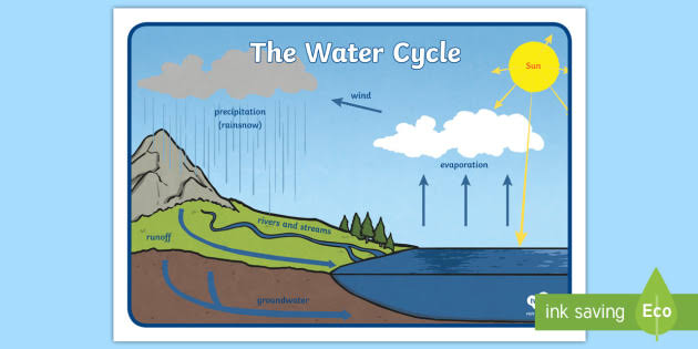 Simple Water Cycle Display Poster
